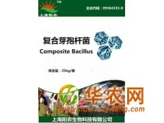 復(fù)合芽孢桿菌